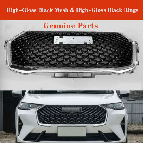 2020-2023 GWM Haval H6 3rd Gen Front Grille